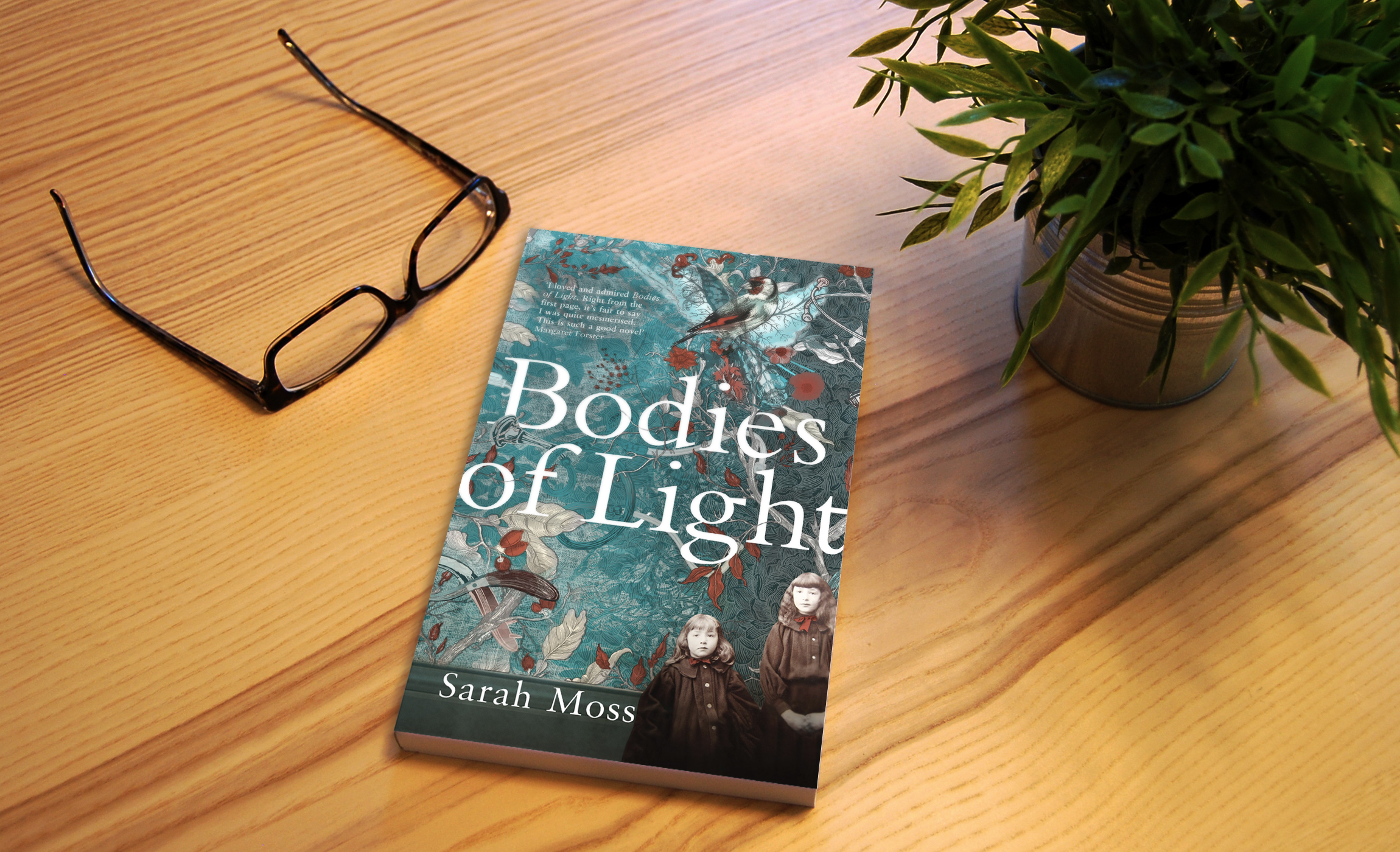 Bodies of Light by Sarah Moss Merak Magazine